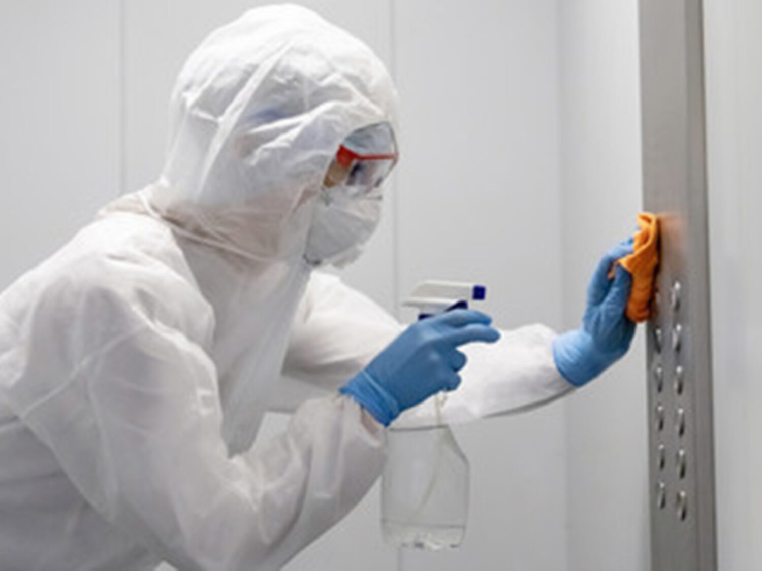 desinfecciones en valencia